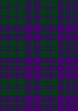 Rae_Tartan_Fabric_100