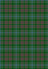 Ralston_USA_Tartan_Fabric_6109
