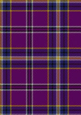 Regan_ORiagain_Tartan_Fabric_4020