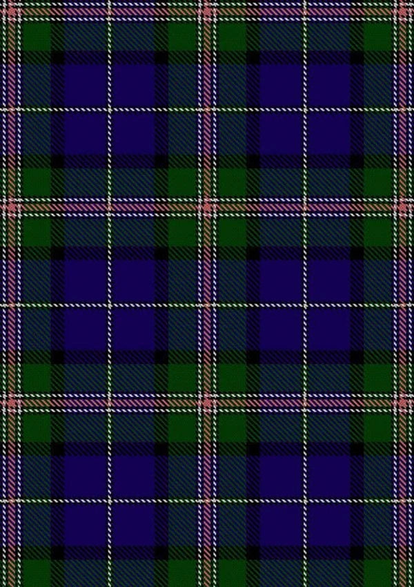 Robson_Steve_Tartan_Fabric_13975