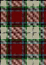 Rose_White_Dress_Tartan_Fabric_1227