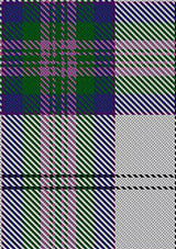 Scotland_the_Brave_Dress_Tartan_Fabric_6567