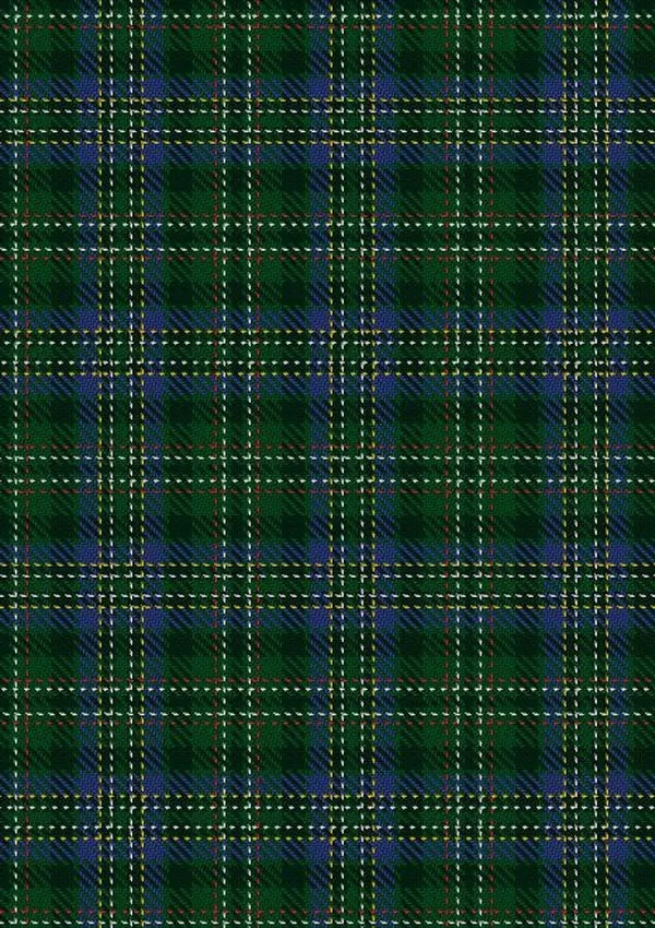 Scott_Hunting_special_Tartan_Fabric_763