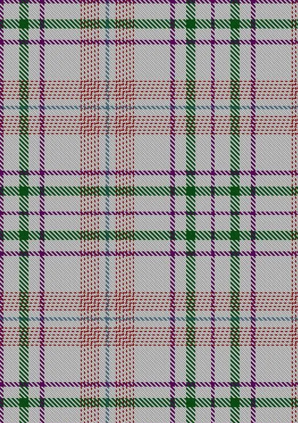 Shaw_Dress_Personal_Tartan_Fabric_6381