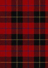 Skinner_Tartan_Fabric_2341