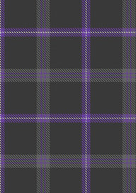 Spirit of Loch Earn Tartan Fabric