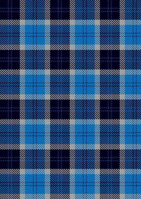 Strathclyde_Tartan_Fabric_30