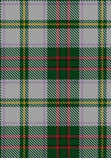 Taylor_Dress_2_Tartan_Fabric_823