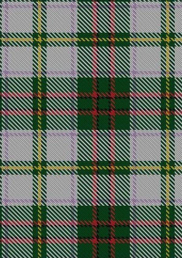 Taylor_Dress_2_Tartan_Fabric_823