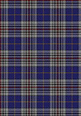 Thompson_Variant_Tartan_Fabric_1624