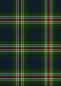 Todd_2_Tartan_Fabric_5107