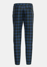 files/Traditional_Clergy_Green_lines_1_Tartan_112_trouser_back_image