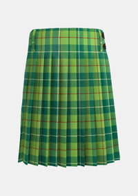 Traditional_Galloway_Hunting_tartan_back_image_with_pleated_design_and_adjustable_buckles_for_men