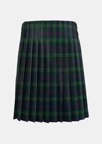 Traditional_Hardie_tartan_3903_back_image_with_pleated_design_and_adjustable_buckles_for_men