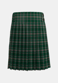 Traditional_Hogan_Tartan_kilt_back_image_with_pleated_design_and_adjustable_buckles_for_men