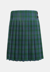 Traditional_Irvine_of_Drum_Tartan_733_kilt_back_image_with_pleated_design_and_adjustable_buckles_for_men