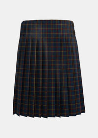 Traditional_MacLaine_of_Lochbuie_Hunting_Tartan_491_kilt_back_image_with_pleated_design_and_adjustable_buckles_for_men