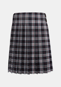 Traditional_MacRae_Dress_Tartan_1564_kilt_back_image_with_pleated_design_and_adjustable_buckles_for_men