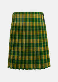 Traditional_Meredith_of_Wales_Tartan_kilt_back_image_with_pleated_design_and_adjustable_buckles_for_men