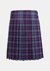 Traditional_Parker_Dress_USA_Tartan_6446_kilt_back_image_with_pleated_design_and_adjustable_buckles_for_men