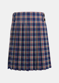 Traditional_Stewart_of_Appin_Hunting_Dress_Tartan_481_kilt_back_image_with_pleated_design_and_adjustable_buckles_for_men