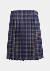 Traditional_Thompson_Variant_Tartan_1624_kilt_back_image_with_pleated_design_and_adjustable_buckles_for_men
