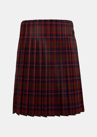 Traditional_Walker_Evening_Personal_Tartan_2068_kilt_back_image_with_pleated_design_and_adjustable_buckles_for_men