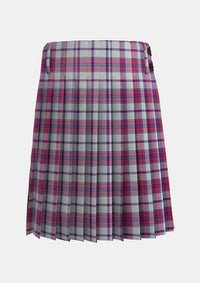 Traditional_Ward_Craig_Dress_Tartan_12819_kilt_back_image_with_pleated_design_and_adjustable_buckles_for_men
