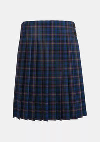 Traditional_Wilkinson_Emma_Family_Tartan_12504_kilt_back_image_with_pleated_design_and_adjustable_buckles_for_men