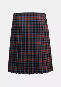 Traditional_Wilkinson_Neil_Family_Tartan_12600_kilt_back_image_with_pleated_design_and_adjustable_buckles_for_men