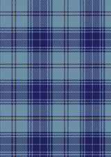 Traynor_Tartan_Fabric_6608