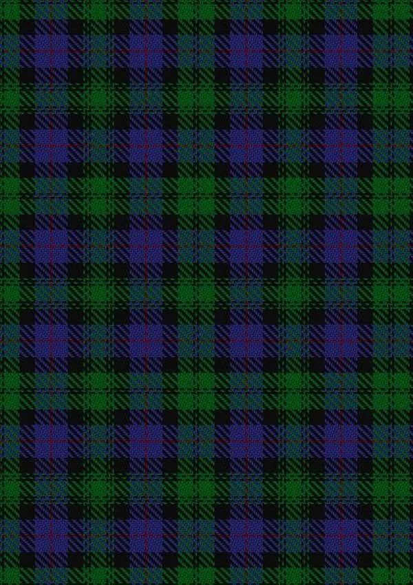 Urquhart_Logan_Tartan_Fabric_774