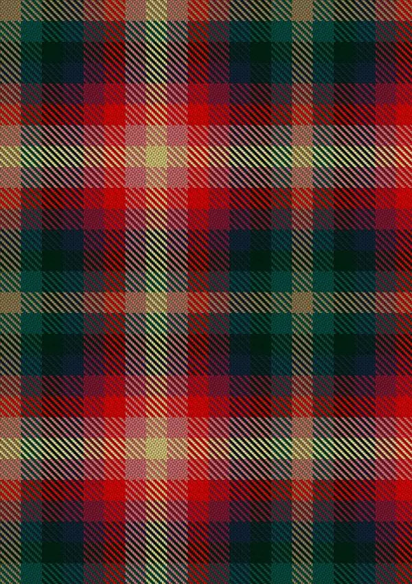 Vegan_Tartan_Fabric_12519