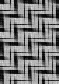 Wallace_Dress_Tartan_Fabric_1251