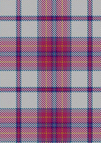Ward_Craig_Dress_Tartan_Fabric_12819