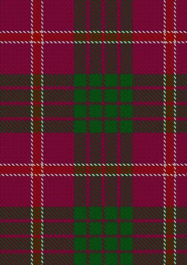 Wasko_Personal_Tartan_Fabric_3908