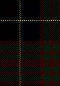 Witchery_Tartan_Fabric_14331