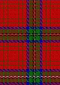 Wood_Dress_Tartan_Fabric_10359