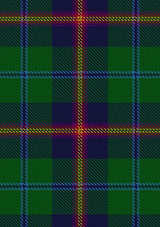 Young Tartan Fabric