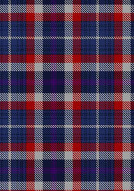 Auld Alliance Tartan 