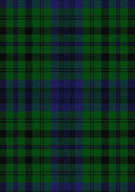 Bailey Tartan Fabric