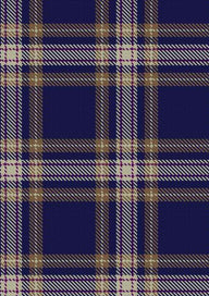 Baker Tartan Fabric