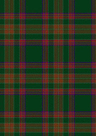 Berry Tribute Tartan Fabric