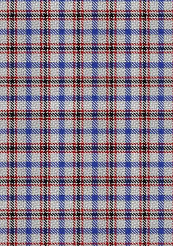  Boswell Dress Tartan Fabric