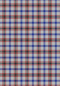  Boswell Dress Tartan Fabric