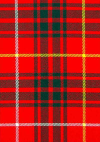 Bruce Modern Tartan Fabric