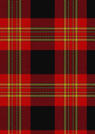 Burke Kevin Tartan Fabric