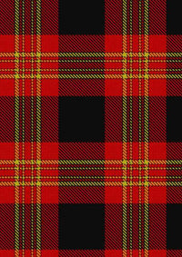 Burke Kevin Tartan Fabric