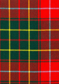 Burnett Tartan Fabric