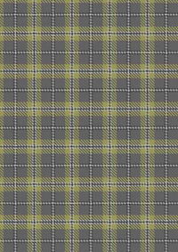 Cairngorm Tartan Fabric